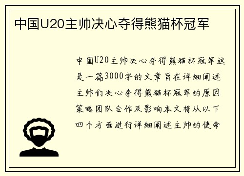 中国U20主帅决心夺得熊猫杯冠军